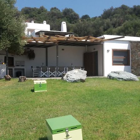 Skinammos Eco Villas Marmari  Exterior photo