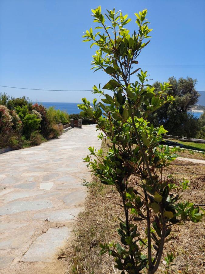 Skinammos Eco Villas Marmari  Exterior photo